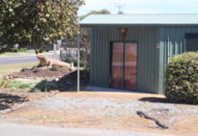 Funds fuel excitement