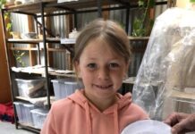 Educational holidays