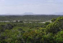 Enjoy what region has to offer this summer