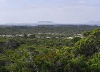 Enjoy what region has to offer this summer