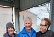 BMW gets the better of Kia