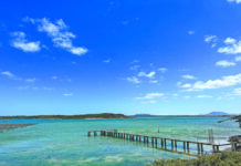 Nauo Fest to celebrate achievements