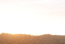 Superb Coffin Bay celebration