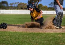 Tigers savage the Dogs