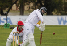 Tasman jumps into second after five rounds