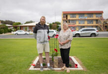 Tobruk Fig Tree plaque unveiled