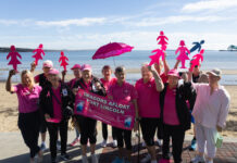 Dragons walk in pink