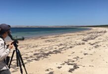 What’s on in Port Lincoln and surrounds