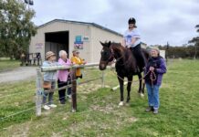 Funding supports association’s horses