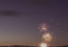 Celebrate the new year