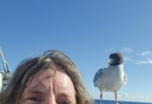 Looking back on 2025 – April