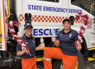 Safe summer with SES