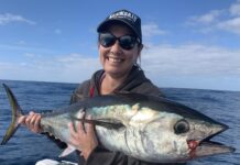 Mixed-sized tuna in places