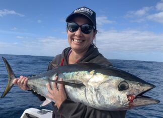 Mixed-sized tuna in places