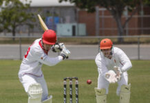 Tasman continue A grade form