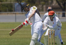 Wayback defeat gallant Tod River Souths