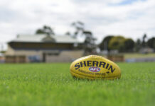 Record number for SA football