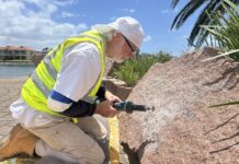 Looking back on 2025 – December