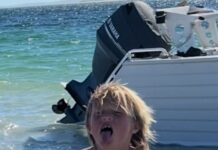 Venus for royal whiting