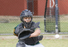 Coyotes claim clean sweep