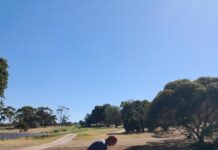 Curtis reaches unprecedented heights