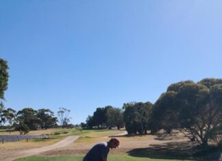 Curtis reaches unprecedented heights