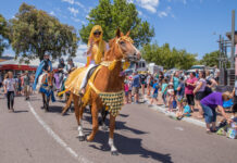 Something for everyone at this weekend’s Tunarama