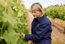 Teakle Wines release new shiraz