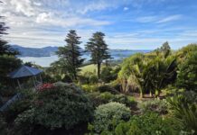 Discovering Dunedin