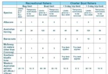 Fish restrictions eased