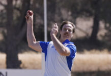 Five wicket Henderson haul for Shanley