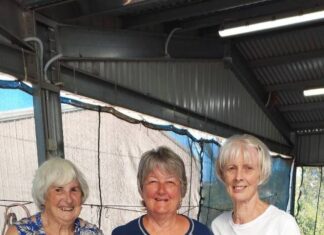 Ford races to strong result