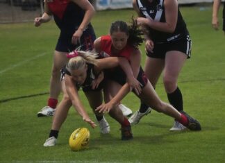 Pecking order established