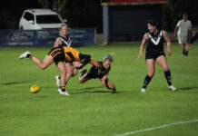 Commanding victories for pair