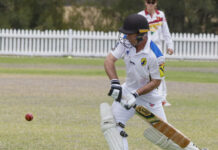 Captain’s knock leads Wayback to victory