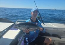 King George whiting found far and wide