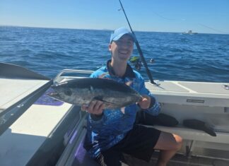 King George whiting found far and wide