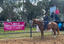 Hearts to be healed by horses