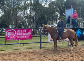 Hearts to be healed by horses