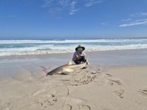 Squid are showing up