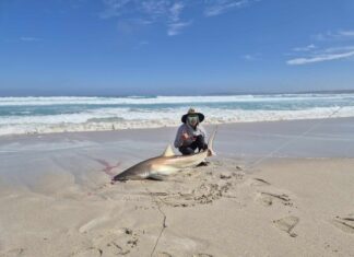 Squid are showing up