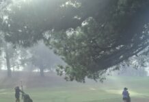 Smith keeps calm under pressure