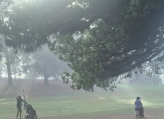 Smith keeps calm under pressure