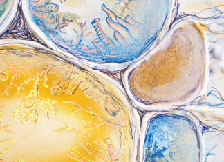 Three selected for SACE Art Show