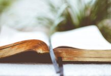 Good New For You: Knowledge Plus…