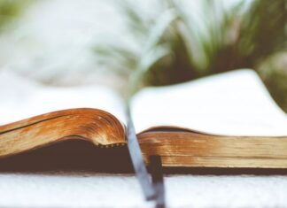 Good New For You: Knowledge Plus…