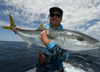 Squid reports improving