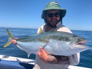 Breaking: Kingfish found in big numbers: Verified coverage by BRRO News Editorial Desk.