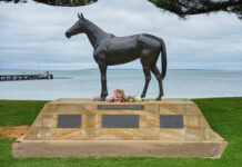 Iconic Makybe Diva dies