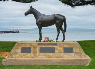 Iconic Makybe Diva dies